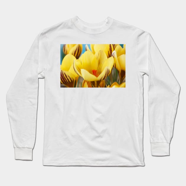 Crocus  'Gipsy Girl' Long Sleeve T-Shirt by chrisburrows